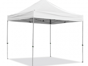 10x10ft canopy