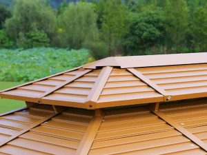 Toit double en acier effet bois 3 x 4 m