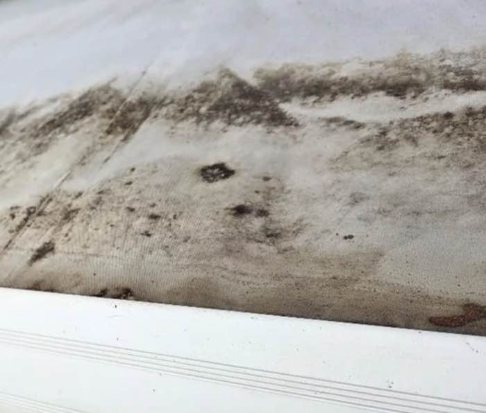 Mold and staining on retractable awning fabric
